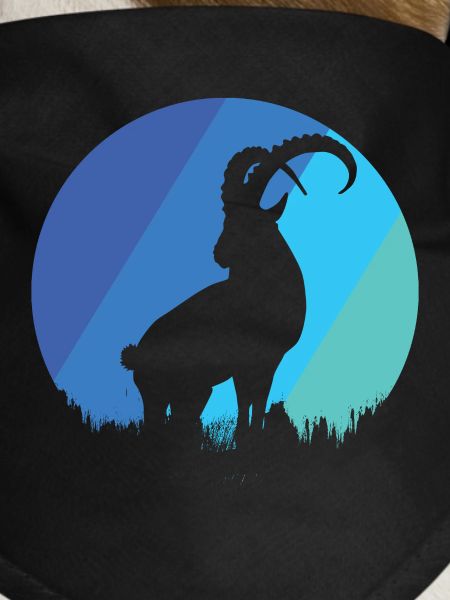 Capricorn