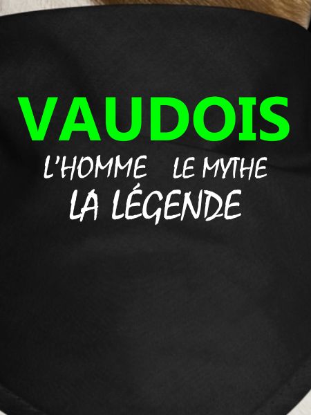 Vaudois Legend Pattern