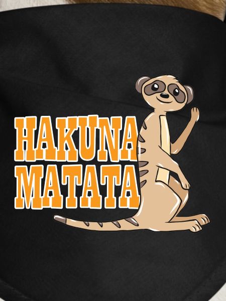 meerkat