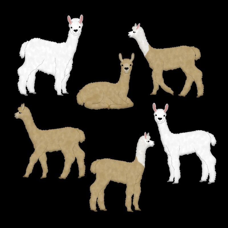 Alpaca selection