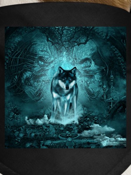 Awesome wolf at night