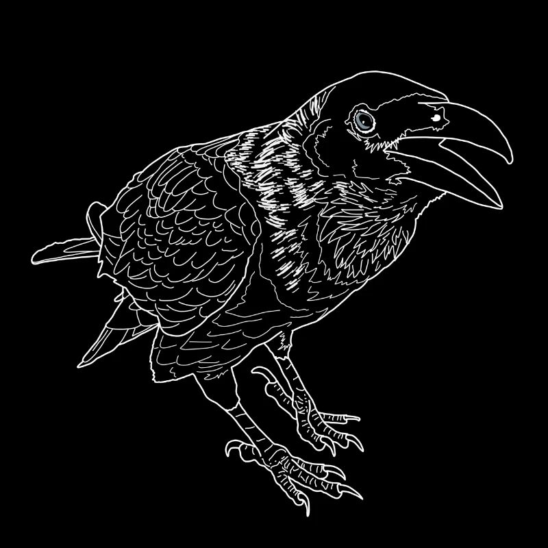 Krähe lineart