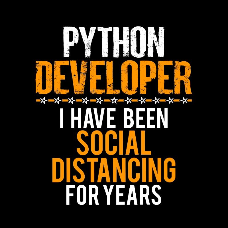 Python Developer Lustiges Shirt, schöne sarkastische T-Shirt