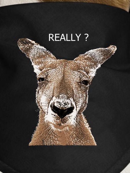 Kangaroo really