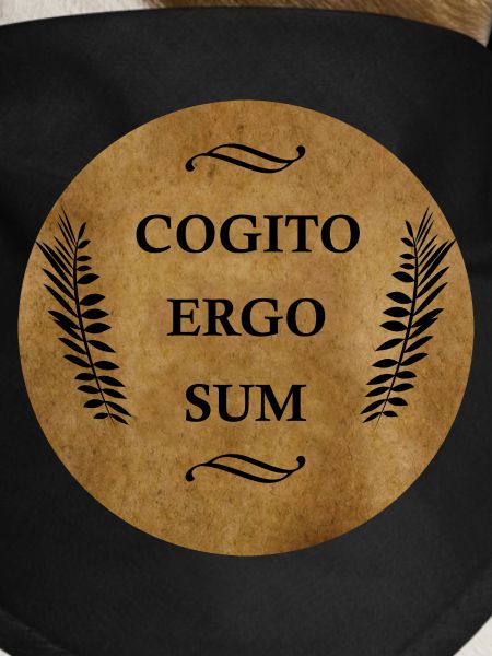 Cogito Ergo Sum