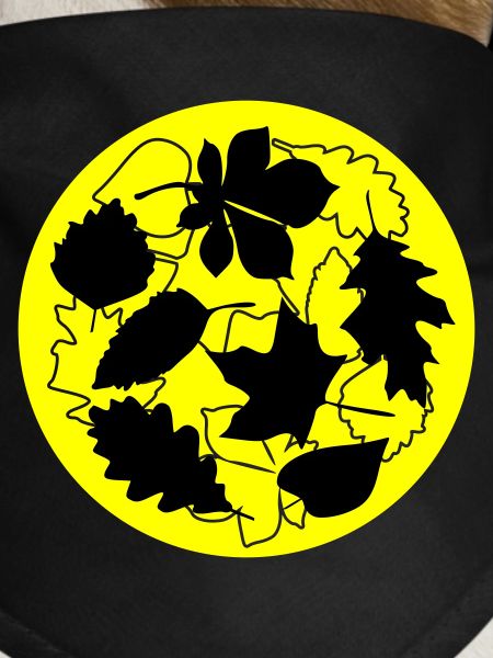 Autumn Circle Leaves