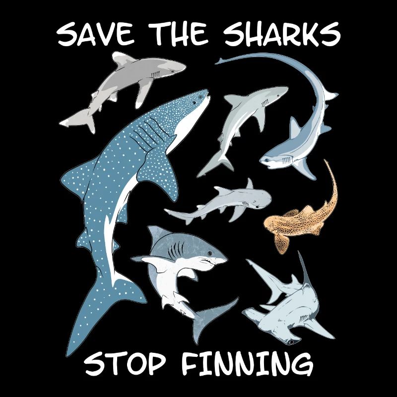 Types de requins Espèces de requins