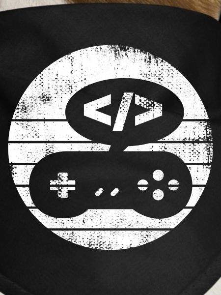 Game Developer