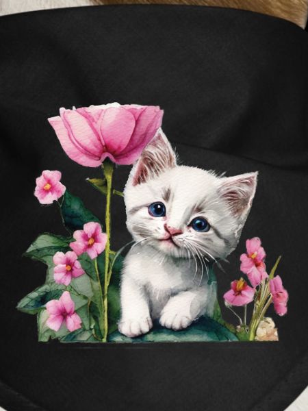 Chaton blanc