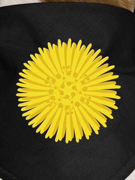 Coltsfoot