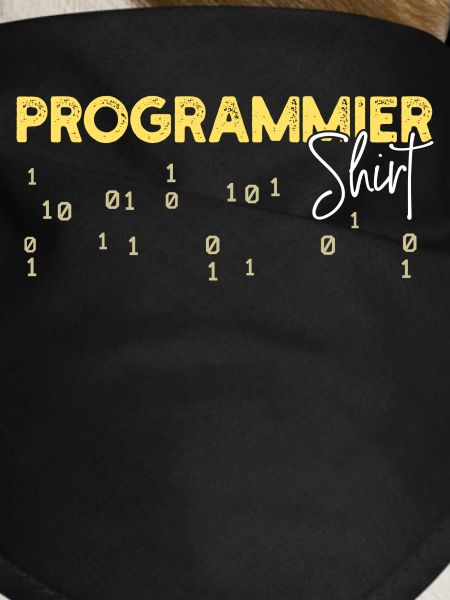 Developer Statement Coden Skripting Webentwickler