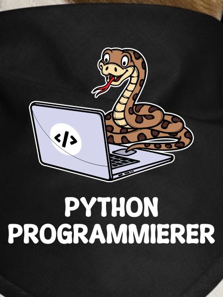Developer Coden Statement Computer Programmierer