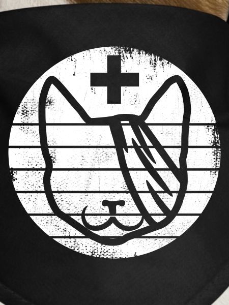 First aid for cats