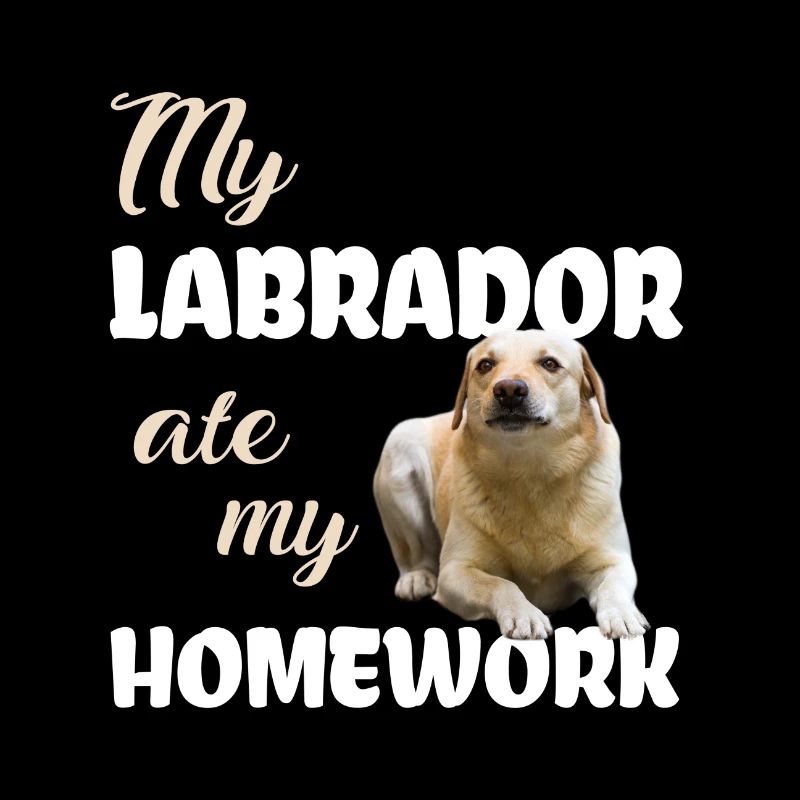 Labrador Homework