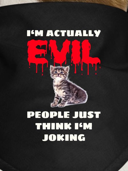 Bad Kitten