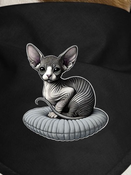 Little Sphynx Cat