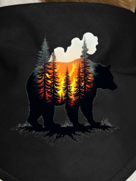 bear