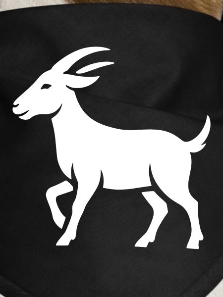 Billygoat