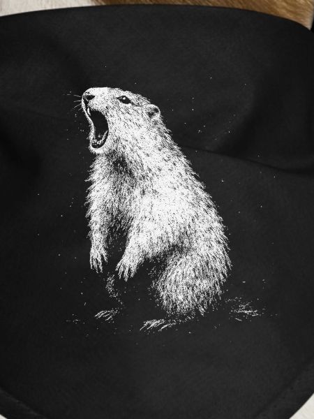 Marmot
