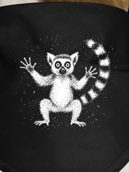 Lemur