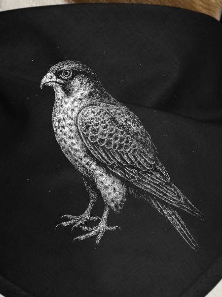 A Falcon