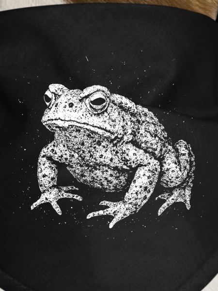 Toad