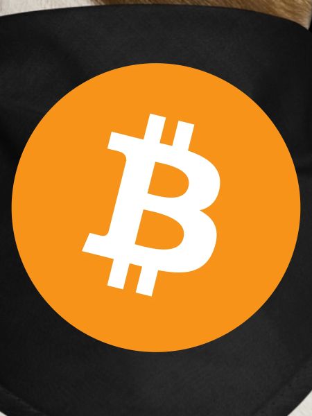 Bitcoin Logo