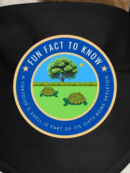 A tortoise fact