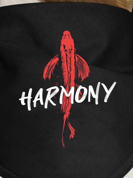 Koi Fish Energetic Harmony