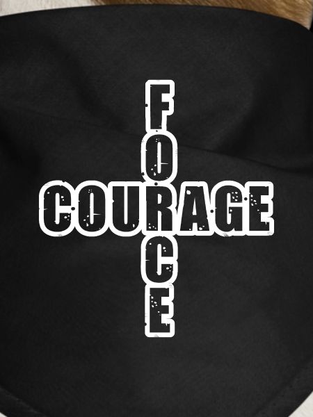STRENGTH & COURAGE!