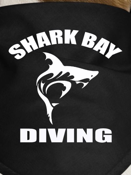 SHARK BAY DIVING