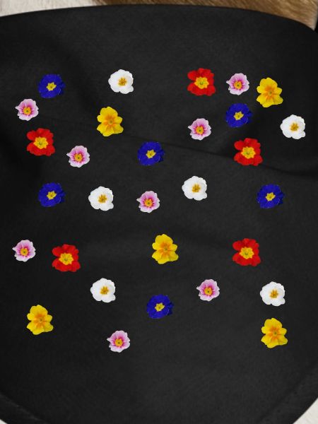 Primroses