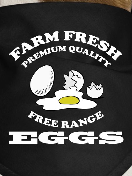 Eggs
