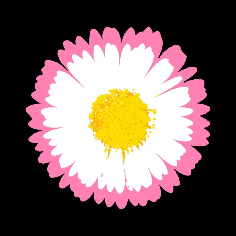 Rosa Gänseblümchen-Kante