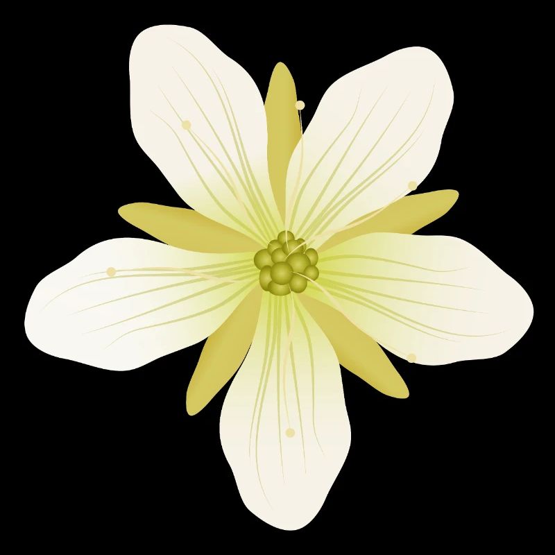 Delicate Venus flytrap blossom in pastel