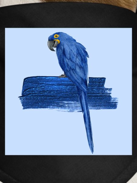 Blue Parrot
