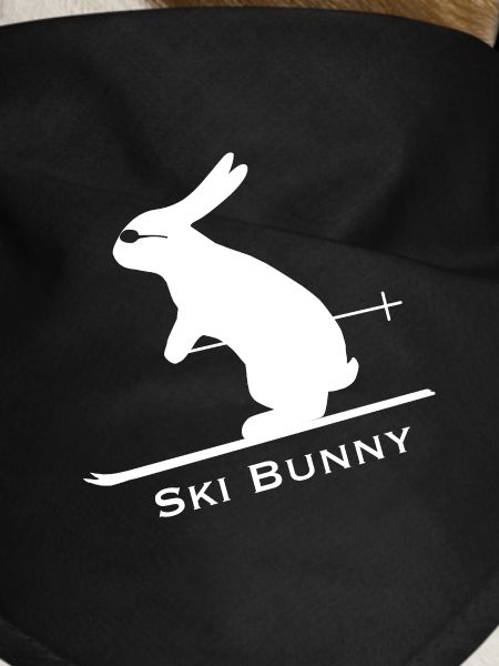 Rabbit Skier