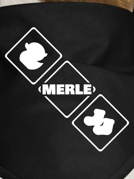 Merle