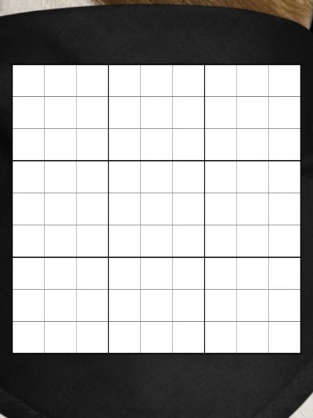 Sudoku blank grid
