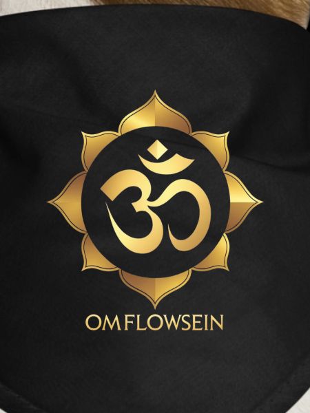 OmFlowSein