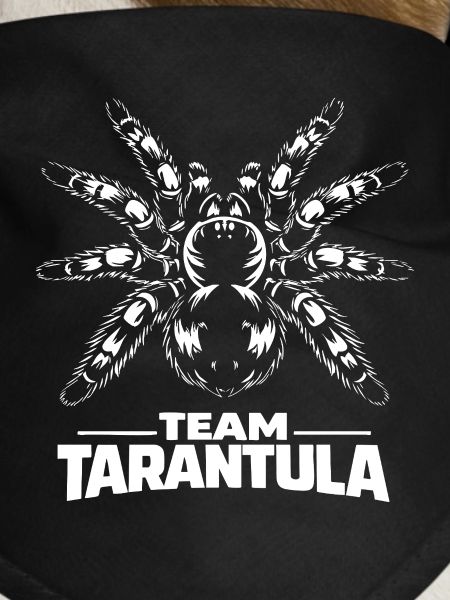 Team Tarantula