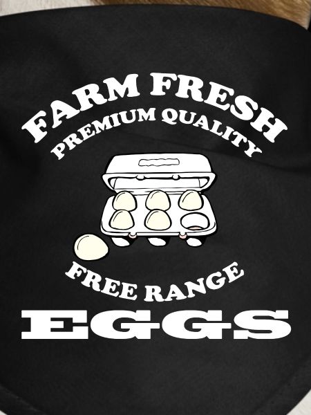Eggs