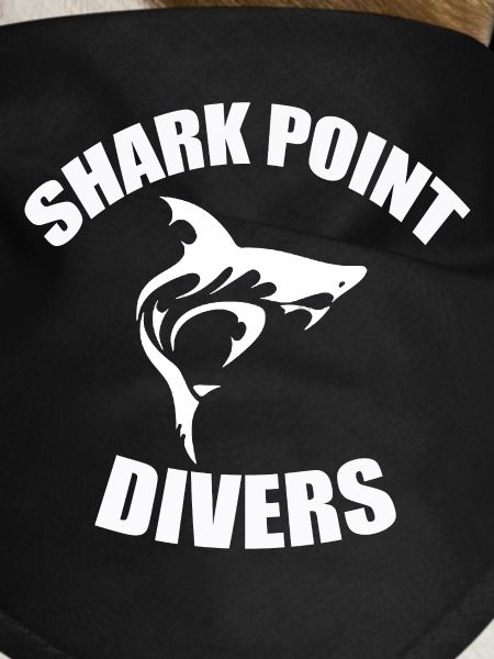 SHARK POINT DIVERS