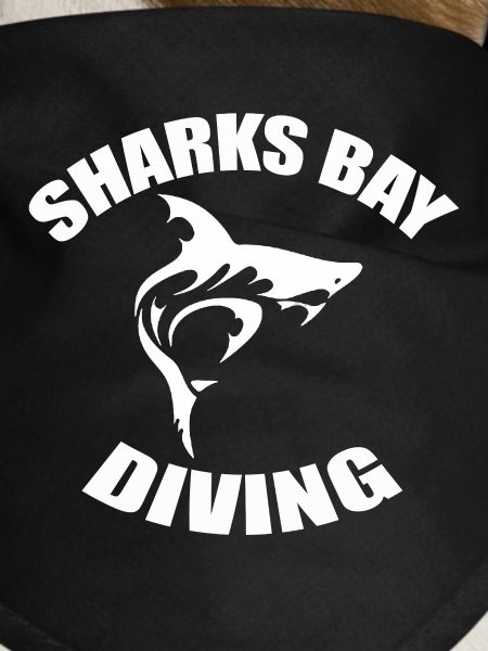 SHARKS BAY DIVING