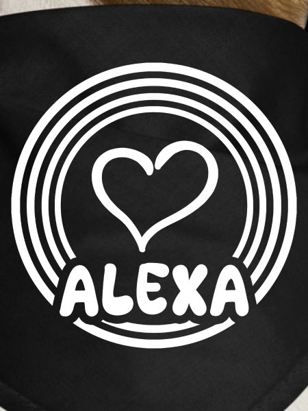 Gift idea Alexa