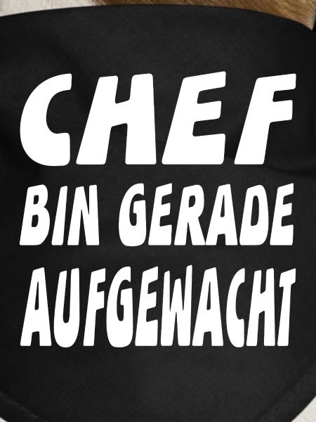 chef
