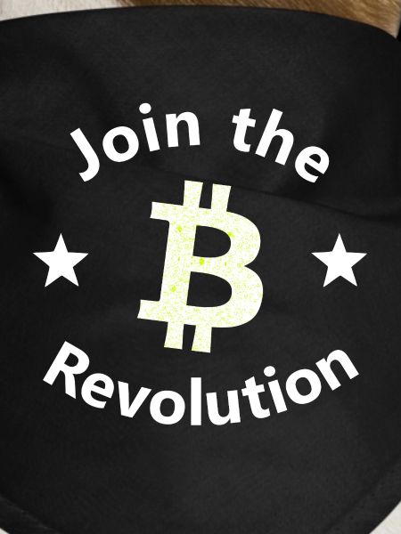 Bitcoin Revolt Circle