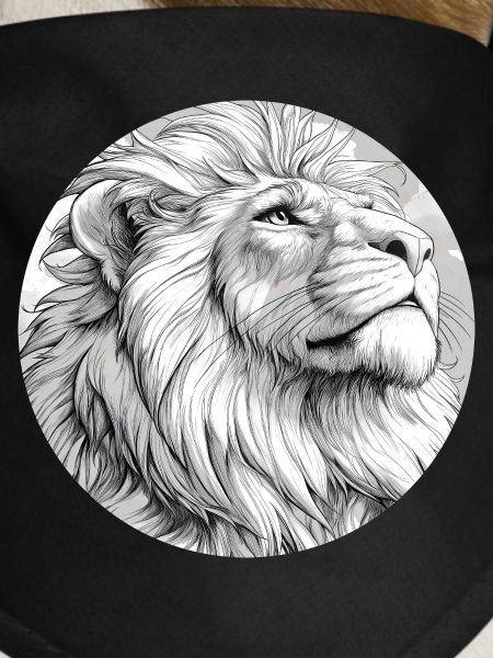 Lion Drawing