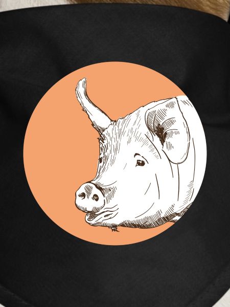 Pig