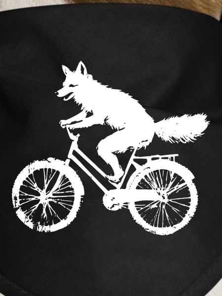 Bicycle Fox